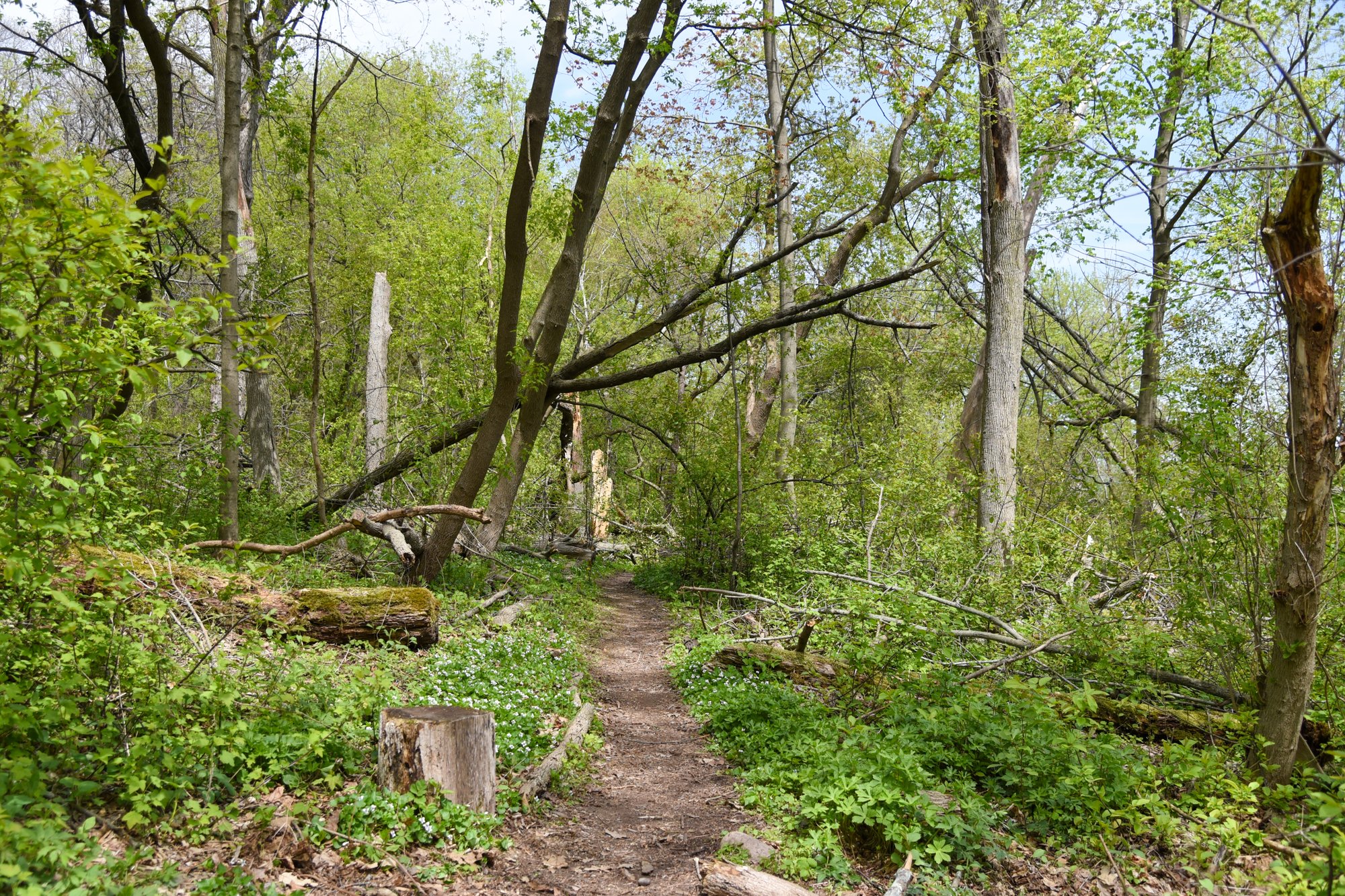 trails-land-5