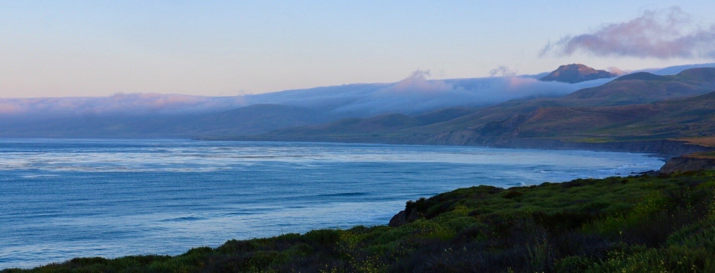 No More Throwaway Vapes!